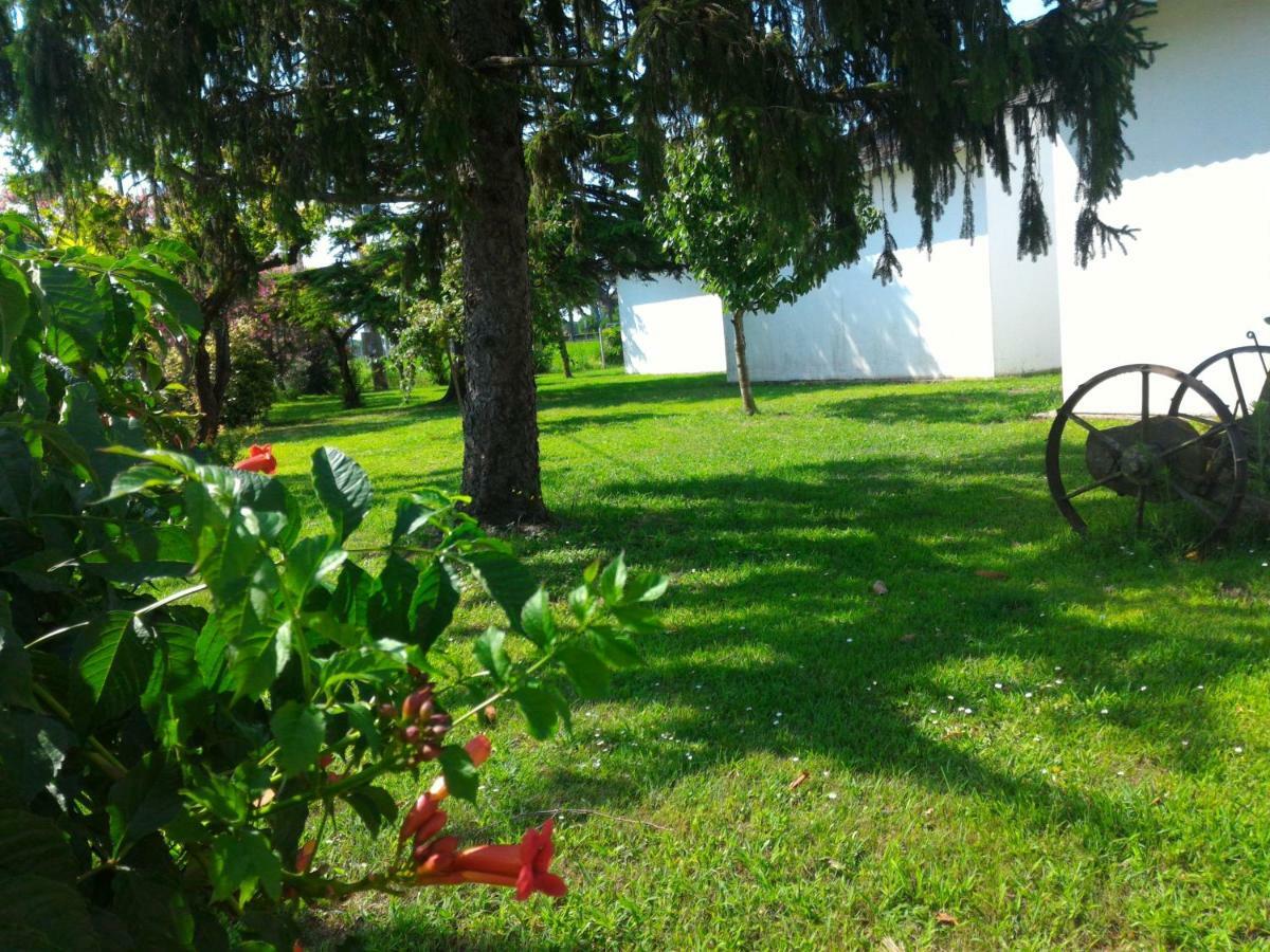 Bungalow Bei Emma Cavallino-Treporti Exteriér fotografie